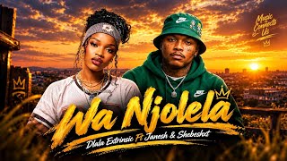 Wa Njolela (Remix) - Janesh x Shebeshxt x Dlala Extrinsic 