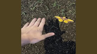 Desesperodesapego