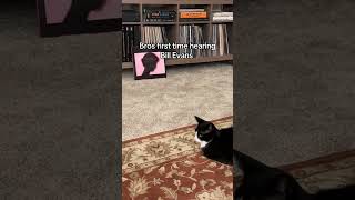 Leannemerceedes01 I Come Home To This Little Miss Dora D The Destroyer Mischief Lol