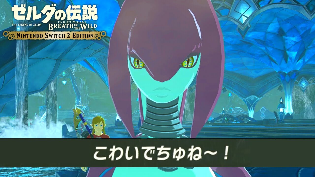 ユウタ マリオオデッセイ ゼルダの伝説ブレスオブザワイルド