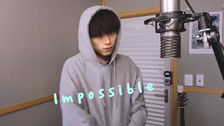 [Cover] Impossible - Nothing But Thieves