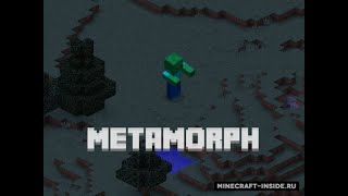 ОБЗОР МОДОВ №7!!! METAMORPH!! ПРЕВРАЩЕНИЯ В МОБОВ????? Байф:)