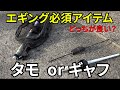 春イカ必須、タモとギャフ論争！エギングには○○が良い？メリットデメリットを熟練エギンガーが解説