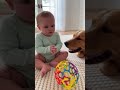 【癒やし】大型犬と赤ちゃんのボール遊びが平和すぎて一生見てられる #shorts #赤ちゃん #犬