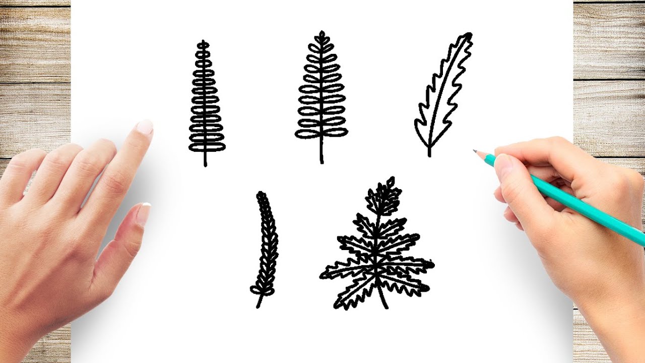 How To Draw leaves Easy - YouTube