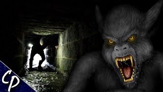 Investigating Toronto's Tunnel Monster | Cryptid Profile