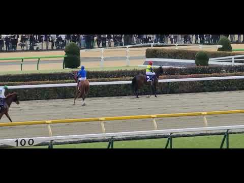 【現地映像】【フェブラリーステークス2022】本馬場入場 福永祐一国内最終騎乗 オーヴェルニュ 2023.02.19 東京競馬場