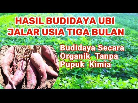 Qor ayollar porno Tasodifan ichkariga porno singdirish