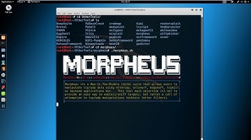 Kali Linux Tutorial - Morpheus Buffer Overflow