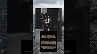 Polish Cat With The German Iron Cross Ww2