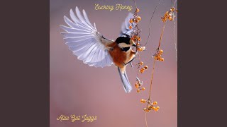 Download Lagu Sucking Honey