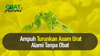 Obat Alami Asam Urat, Racikannya Mudah dan Enak