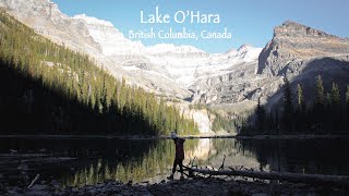 Lake O&#39;Hara．British Columbia, CANADA