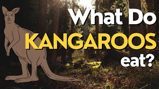 What Do Kangaroos Eat? Exploring the Diet of Australia's Iconic Marsupial