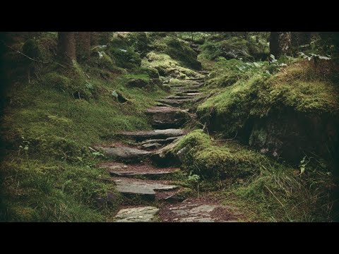 Footsteps Fading Into Moss | Celtic Music Journey