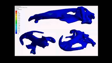 3D Bite Modeling and Feeding Mechanics of the Largest Living Amphibian, the Chinese Giant...