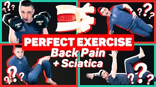 What Is The PERFECT Exercise For LOW BACK PAIN?