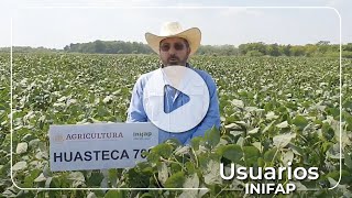 Huasteca 700