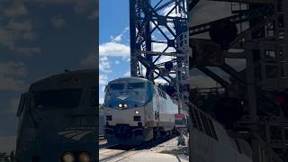 Amtrak P42 #58 Leads Texas Eagle #22 Across Lumber Street with a Great K5LA Quill! #train #trains