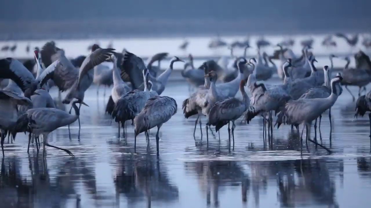 Milicz Ponds autumn 2017