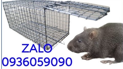 Bán lồng bẫy chuột cống nhum làm thủ công. Bán bẫy chuột cống nhum. Bán bẫy chuột ba lông.