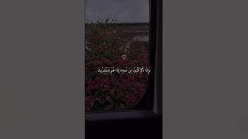 سورة الزمر 💙#حالات_دينية #حالات_واتس #حالات_واتساب #قرآن #حالات