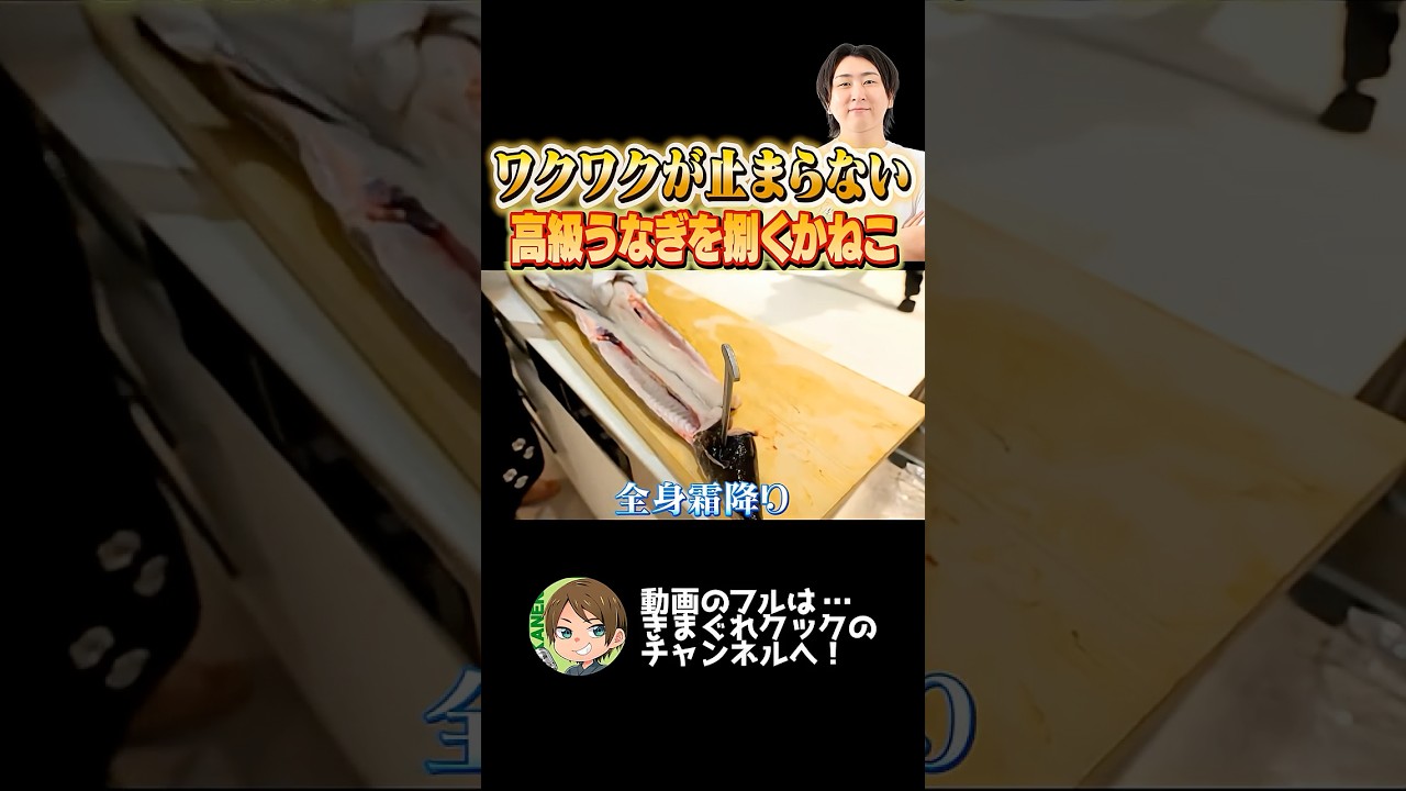 1尾12万円のうなぎに大感動