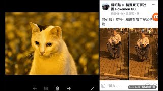 那些年一起 衝等級 聖地 新莊大眾廟 vs 三重開元公園 (遇到阿伯時說聲加油吧) by nikon +小蟻4k + pokemon go