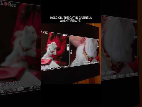 I Didn T Know The Gabriela Cat Wasn T Real Katseye