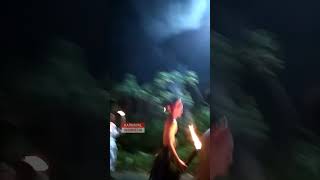 Download Lagu Awas, Apinya Jangan Kena Lampu Jalan ! MP3