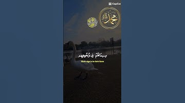 تلاوة عطرة للشيخ سعد الغامدي ماتيسر من سورة الفتح
