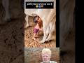 &quot;जिस मां ने जन्म दिया… आज उसी को भुला बैठा हिंदुस्तान 😢🇮🇳&quot;#shorts #ytshorts