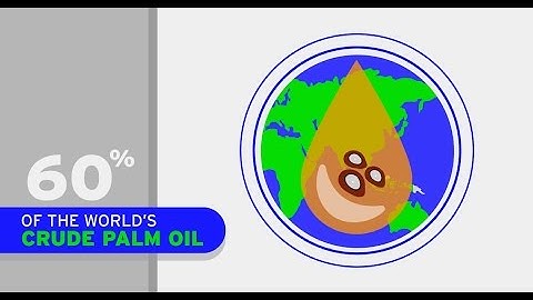 Motion Graphic with Screencast Explainer Video for Energy Feeds