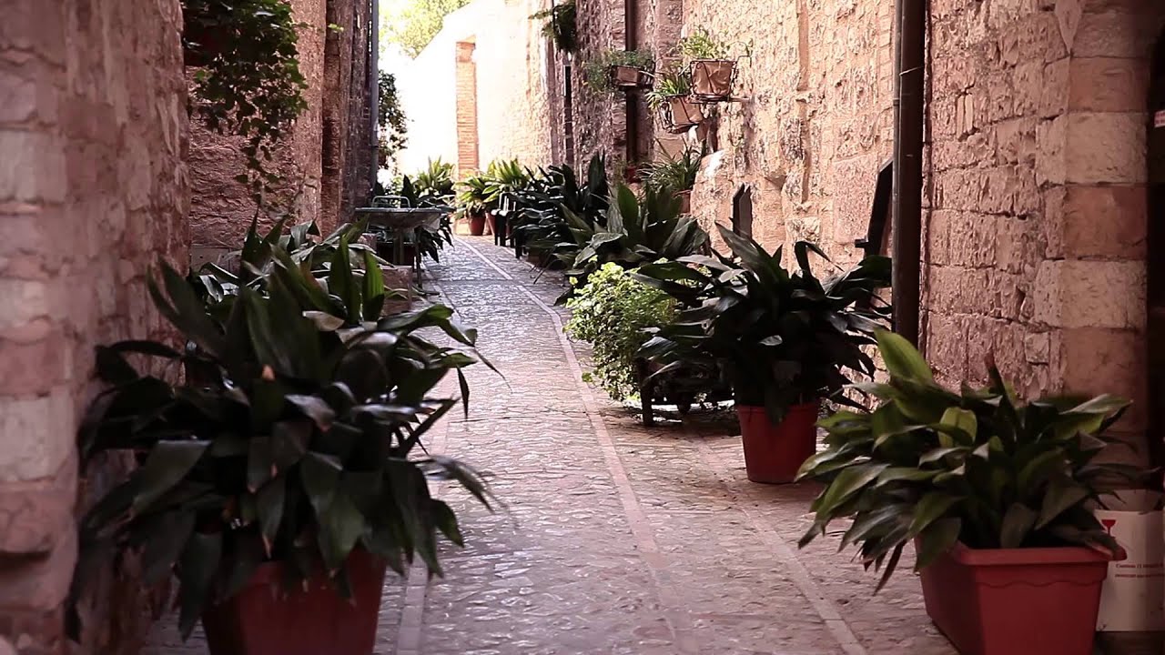 Tour around Spello by Enoteca Properzio