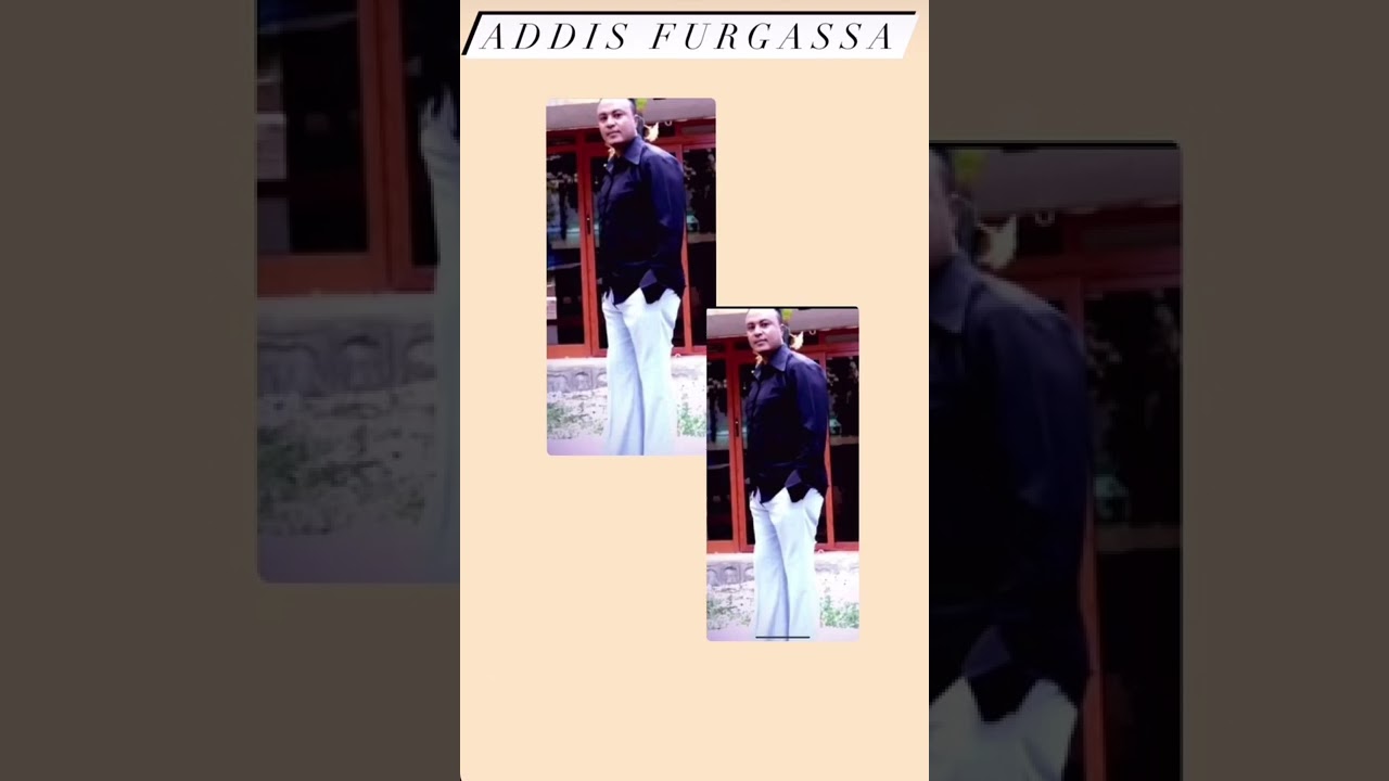 Addisu furgassa ililli mawardi