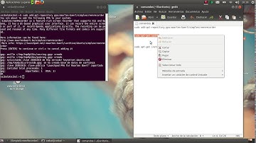 como instalar simple screen recorder (programa para gravar en ubuntu)