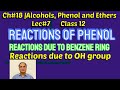 Ch18 lec7 reactions of phenol due to benzene ring due to oh group class 12