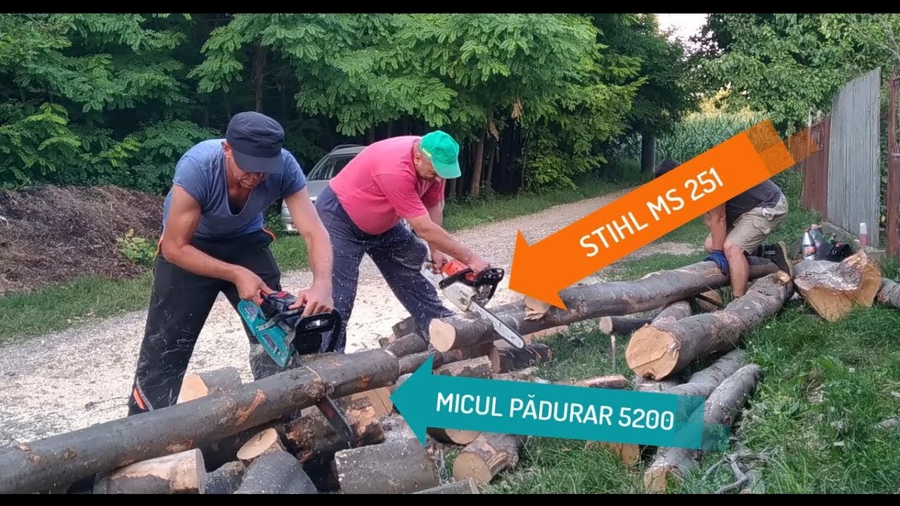 Drujbe MICUL PĂDURAR 5200 și STIHL MS251 ~ Tăiere lemn de fag pentru iarnă partea a III a