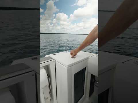 The sound of a brand new 272CC
