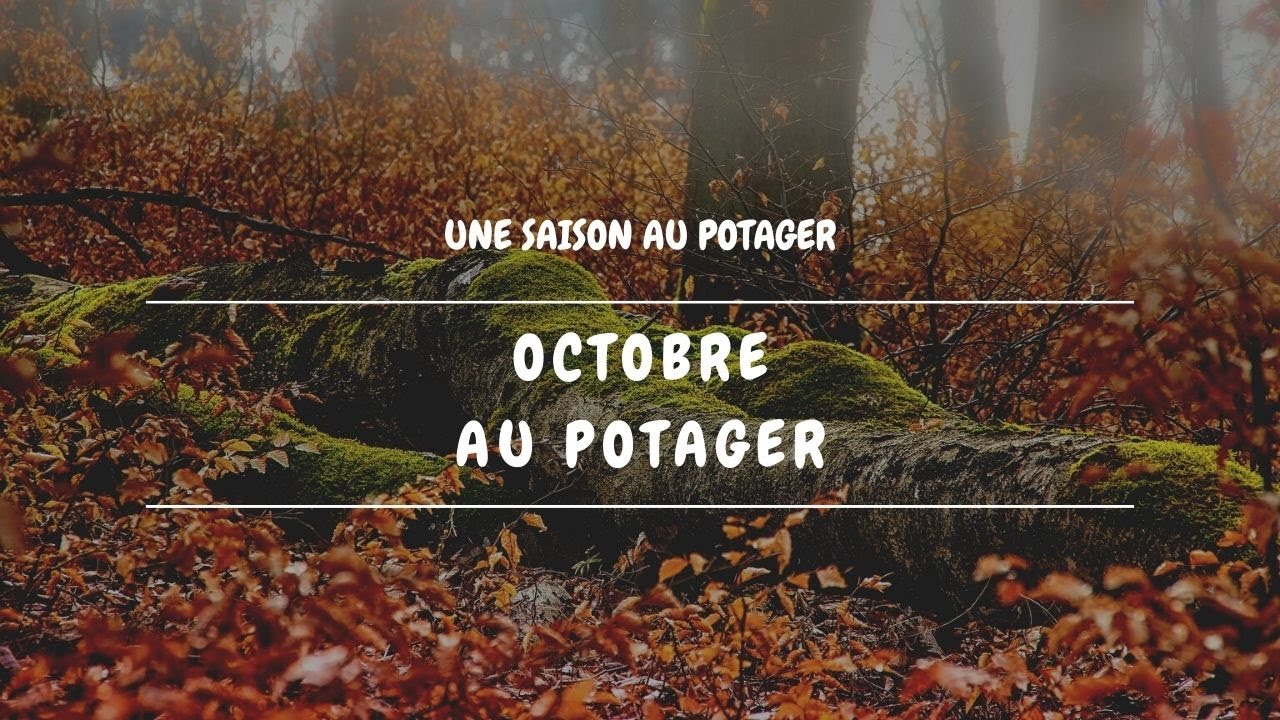 📅 Octobre au potager - YouTube