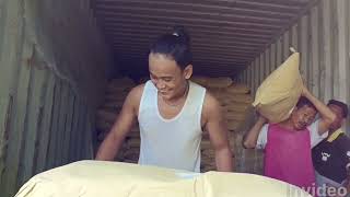 IMPOR BARANG DARI CHINA | BONGKAR KONTENER 40 FEET #importir #import by Wawan_Fitriyadi 1,497 views 8 months ago 5 minutes, 28 seconds