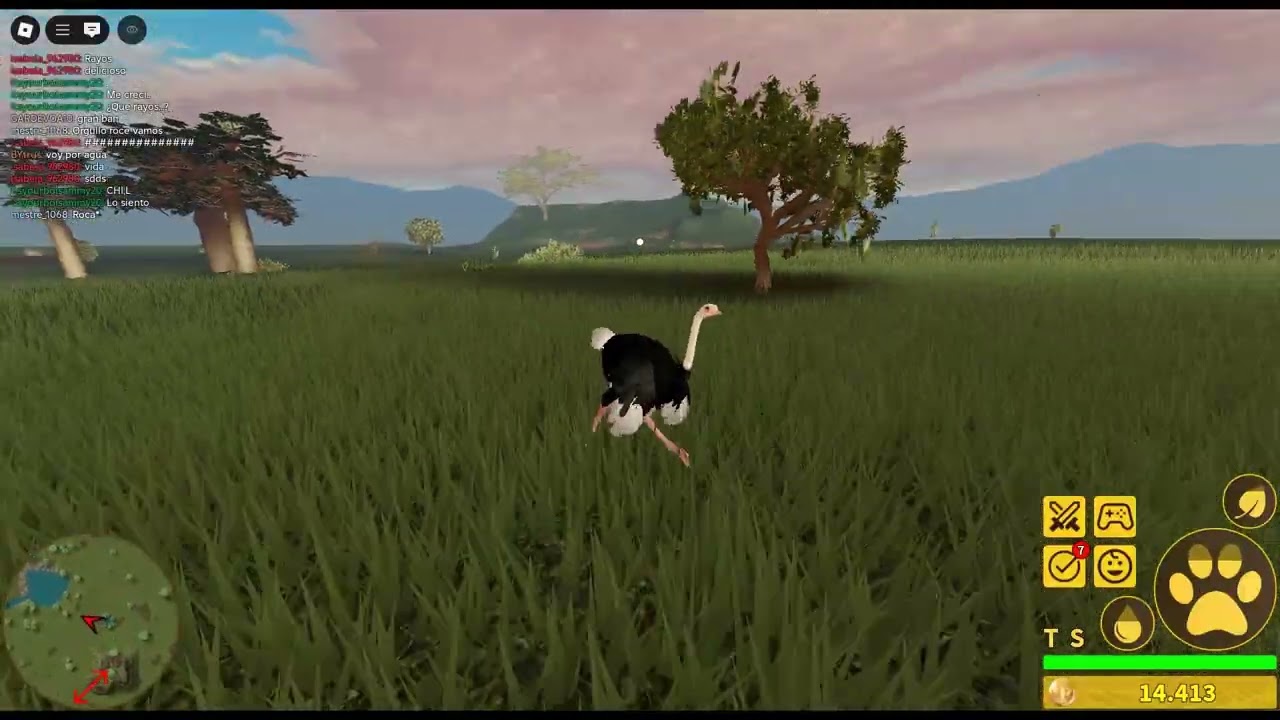 Avestruz africano   Savannah Life Roblox