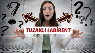 4. Sınıf Tuzaklı Labirent