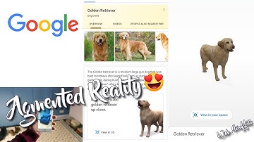View Animals  in 3D | Google Augmented Reality |Arcore