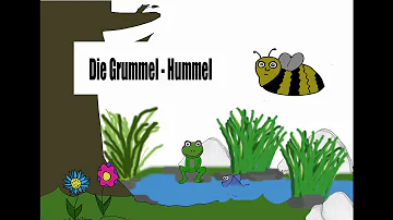 Haben Hummel Gefühle?