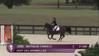 1.25m Jr/Am Classic- WEC Ocala