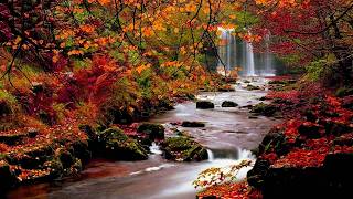 Herfst Stemming (Autumn Mood) Piano/Abraham Mulder
Herfst Stemming (Autumn Mood)
Key: G-Majeur
Composed by Abraham Mulder
Title Photo piano by Abraham Mulder
Performed on Kawai CA-901 by Abraham Mulder
Recording: USB
Made in Movie Maker Herfst Stemming (Autumn Mood) Piano/Abraham Mulder
