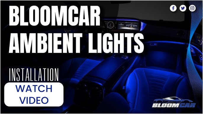 BloomCar™ LED Door Sill 2.0 (Customized) – TheBloomCar™