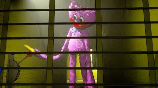 Where Does Kissy Missy Go After Helping You? - Poppy Playtime Chapter 2 Fly In A Web