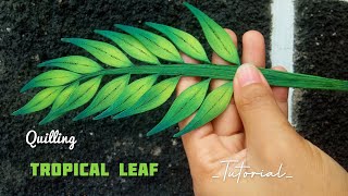 How To Make Paper Quilling Leaf [Quilled Tropical Leaf [Paper Quilling Tutorial [Quilling With Comb screenshot 5